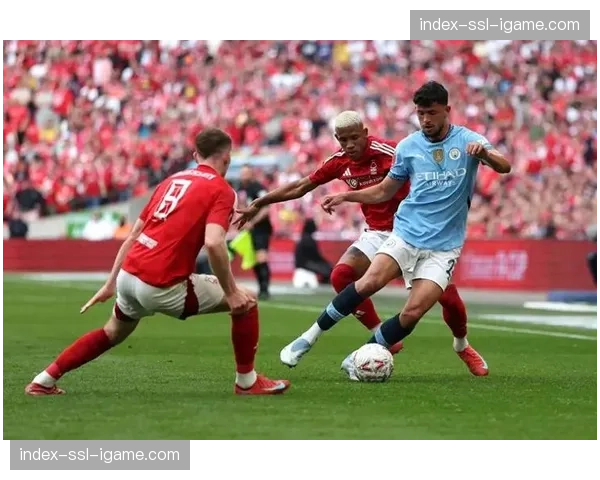 伊蒂哈德球场发生小规模骚乱，安保人员迅速介入控制局面